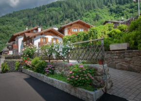 Гостиница Centro Appartamenti Vacanze  Меццана
